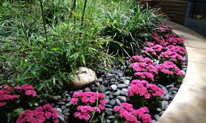 Make a Memorial or Tribute Gift