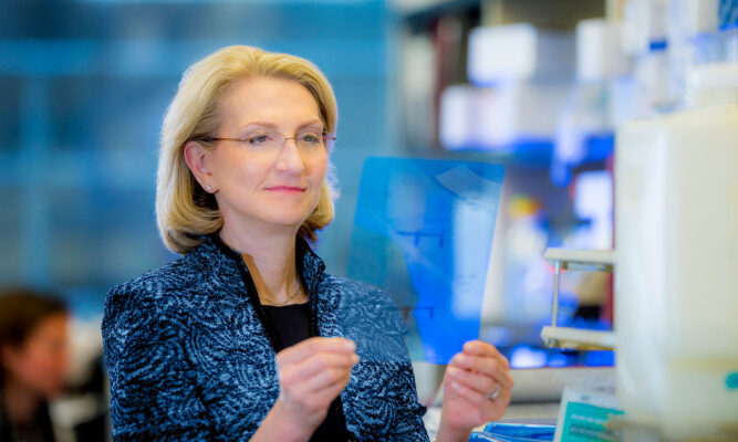 Dana-Farber Research Advances In Blood Cancers Presented at ASH Annual Meeting