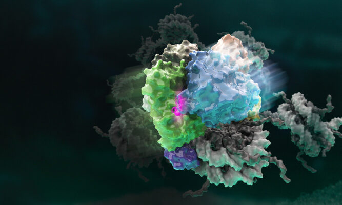 $10 million gift brings rare cancers to the fore.